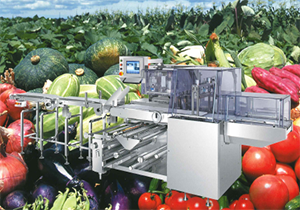 Máy đóng gói rau,củ quả 